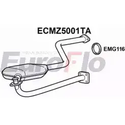 Катализатор EUROFLO 4348977 ECMZ5001TA N1DN6C UT 2KI изображение 0