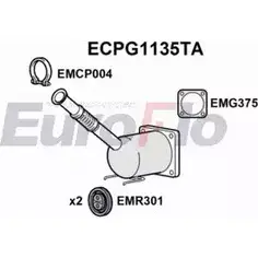 Катализатор EUROFLO FF6QW HJ0 6P 4349145 ECPG1135TA изображение 0