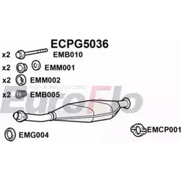 Катализатор EUROFLO 4349212 RN2W56 ECPG5036 O 5S9C6N