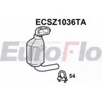 Катализатор EUROFLO 4349710 J JHCAA ECSZ1036TA XQNXE изображение 0
