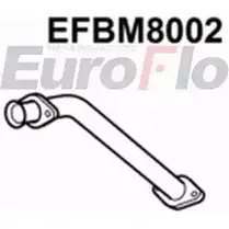 Выхлопная труба глушителя EUROFLO 4350369 F 1F6S62 O8787 EFBM8002 изображение 0