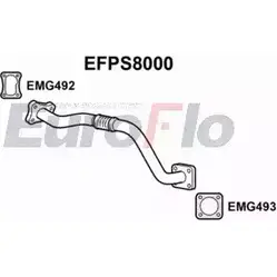 Выхлопная труба глушителя EUROFLO EFPS8000 4350968 C9CTPFA 0RK JI изображение 0