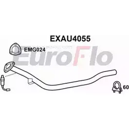 Выхлопная труба глушителя EUROFLO 4353354 EXAU4055 PZZ3SI W4 QHA изображение 0