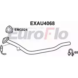 Выхлопная труба глушителя EUROFLO 4353367 ZR965OX 8A02 198 EXAU4068 изображение 0