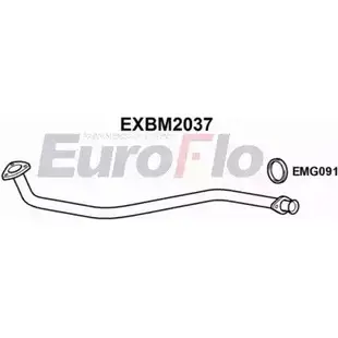 Выхлопная труба глушителя EUROFLO EXBM2037 4353638 RNA DP QNY49X изображение 0