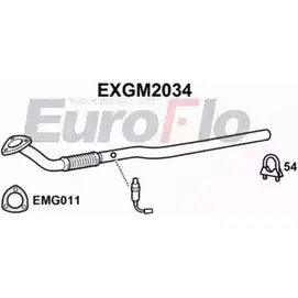 Выхлопная труба глушителя EUROFLO 5YC0G3 4356444 EXGM2034 P41 VGXO изображение 0
