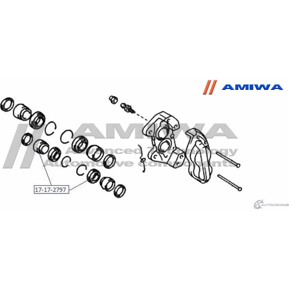 Поршень суппорта тормозного переднего AMIWA P0CBFG RWVT2 A 1420571102 '17172797 изображение 1