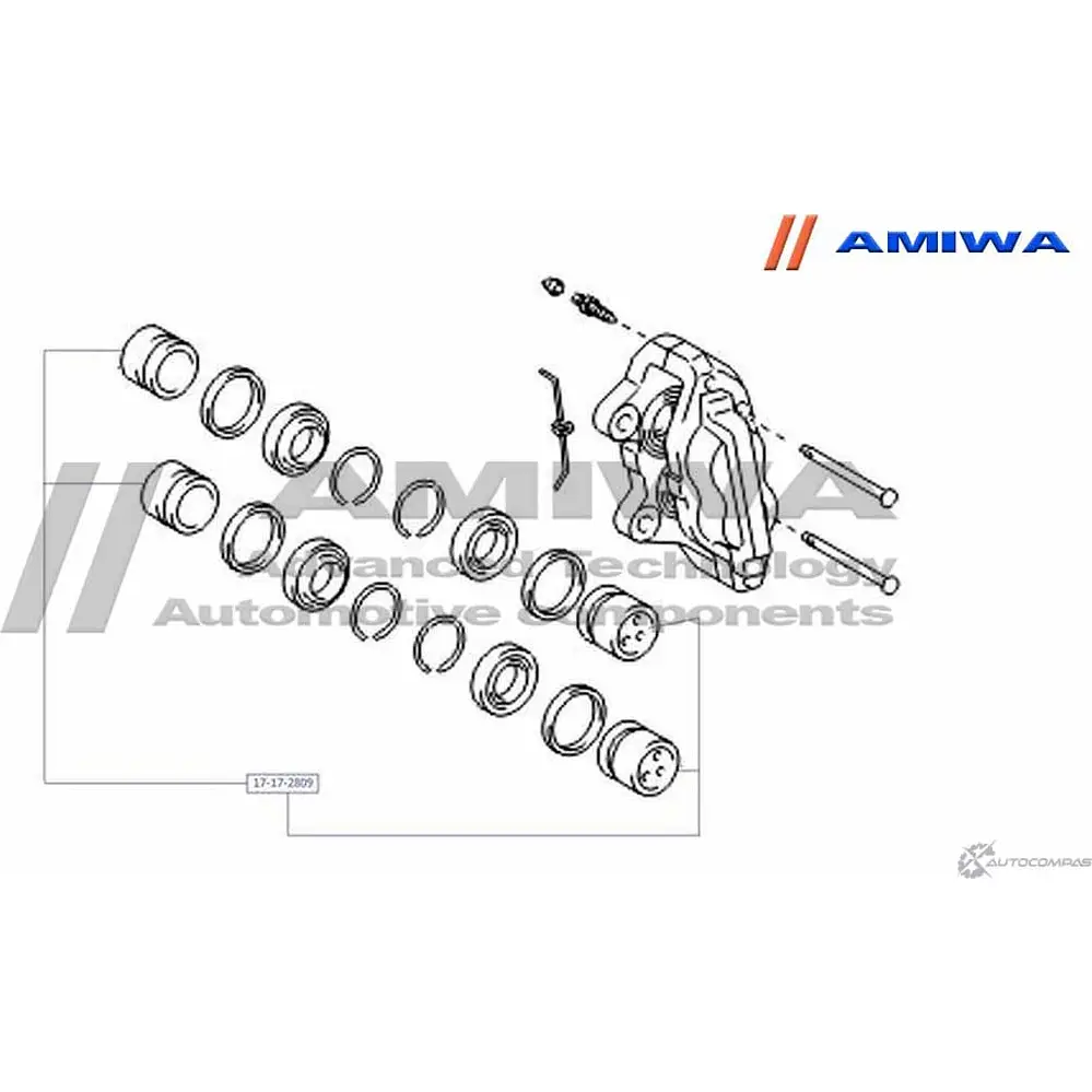 Поршень суппорта тормозного переднего AMIWA NQXKB 1420571107 '17172809 W8T P68 изображение 1