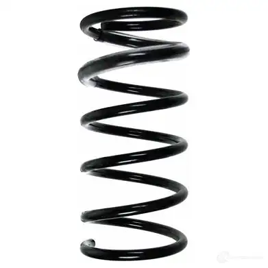 Пружина подвески GKN SPIDAN FPD4 NW 8951 85001 4019064079484