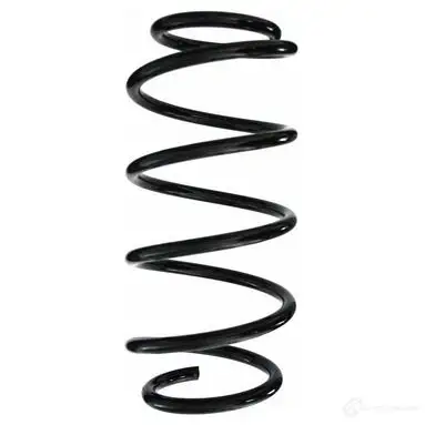Пружина подвески GKN SPIDAN 4019064700616 48069 DCP P2 3709