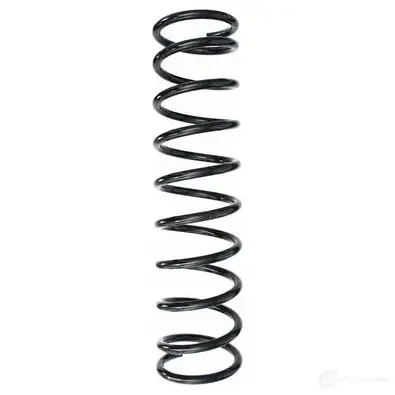 Пружина подвески GKN SPIDAN 3950 L25 ZLA 48707 4019064721963