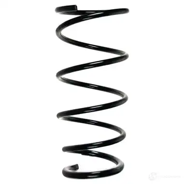 Пружина подвески GKN SPIDAN 4019064675006 9244 6L M80 85303