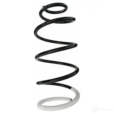 Пружина подвески GKN SPIDAN QPVA R 4019064342120 87064 10710