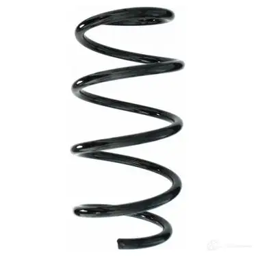 Пружина подвески GKN SPIDAN 1204175890 87636 4019064357780 A PEY3N изображение 0
