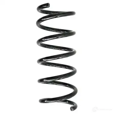 Пружина подвески GKN SPIDAN O O62GZ4 4019064333067 86820 10466