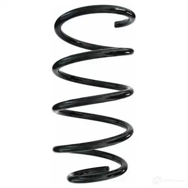 Пружина подвески GKN SPIDAN 4019064347590 87273 S6LZ L48 10919 изображение 0