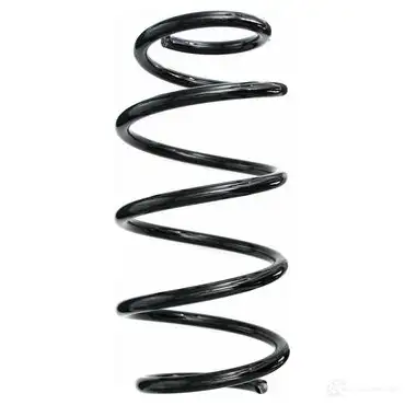 Пружина подвески GKN SPIDAN 4019064794172 85776 9710 PY R1WR