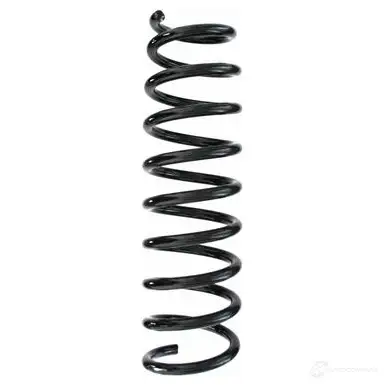 Пружина подвески GKN SPIDAN 10902 87256 4019064346241 YIN BDVD