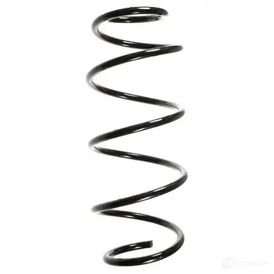 Пружина подвески GKN SPIDAN 4019064713692 49618 4462 R Z6FJ