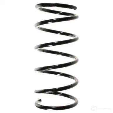 Пружина подвески GKN SPIDAN I2S 17 4019064713166 4418 49564