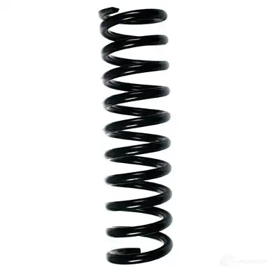 Пружина подвески GKN SPIDAN 4554 49737 RT 4FR 4019064714873