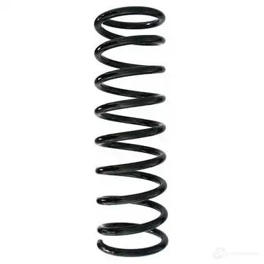 Пружина подвески GKN SPIDAN 3945 48696 4019064721949 V VY3BP