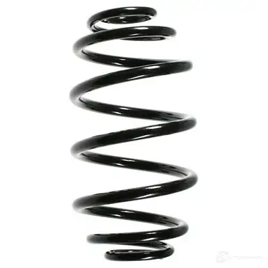 Пружина подвески GKN SPIDAN 56005 4019064434917 EO GN2H 7332