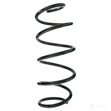 Пружина подвески GKN SPIDAN 10963 87320 4019064348047 Z15Q W