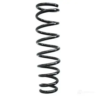 Пружина подвески GKN SPIDAN 4019064329268 86644 10293 PAW4 RH