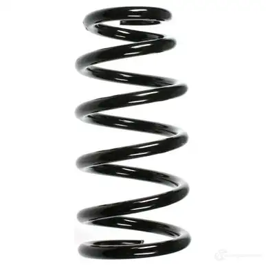 Пружина подвески GKN SPIDAN 6917 4019064725565 WC SAEO 55369