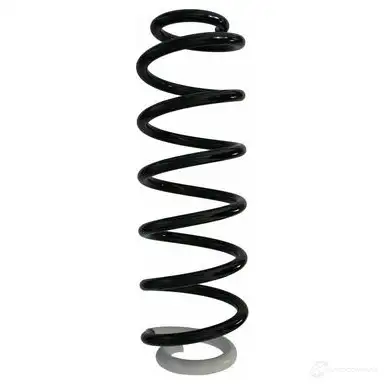 Пружина подвески GKN SPIDAN 87412 11055 4019064349631 BPO57N W