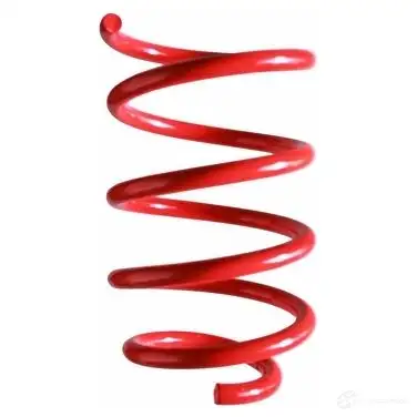 Пружина подвески GKN SPIDAN 4019064345565 87188 P6G0 79 10834