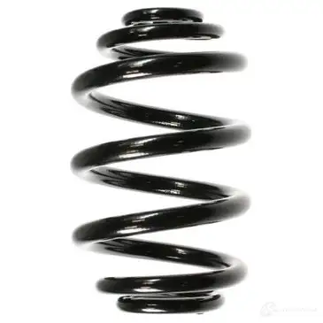 Пружина подвески GKN SPIDAN 4019064723080 6724 55121 41R TZB