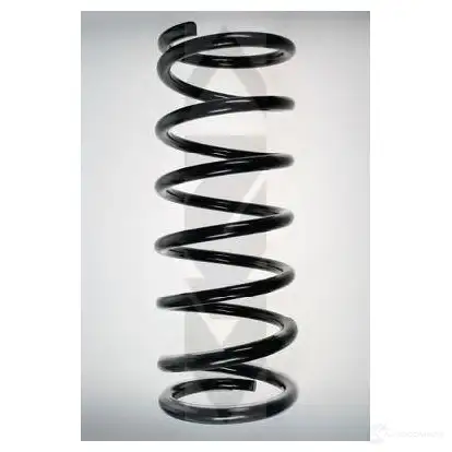 Пружина SPIDAN 49434 4019064712176 4313 9W P3I
