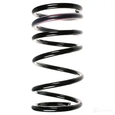 Пружина подвески GKN SPIDAN 4019064725084 6875 AO G1A 55321