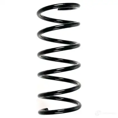 Пружина подвески GKN SPIDAN 55258 6841 NNCC VT 4019064724452