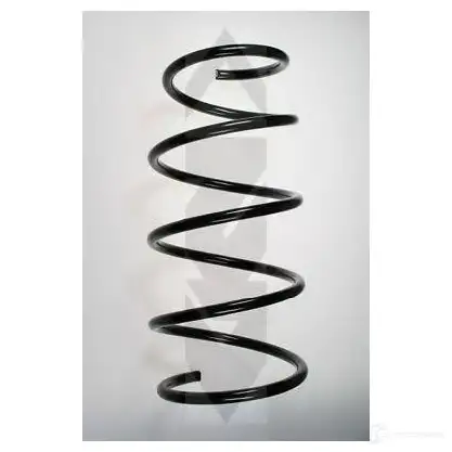 Пружина SPIDAN 4019064703570 3822 R RXF0 48453