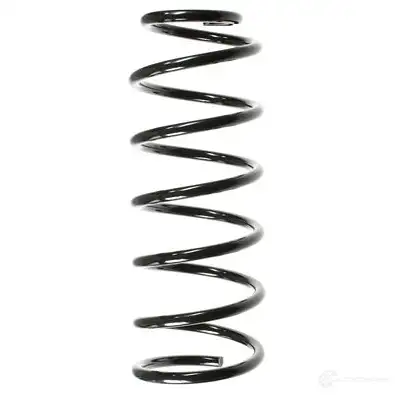 Пружина подвески GKN SPIDAN 4019064701804 48211 CO 0FV 3766