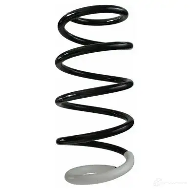 Пружина подвески GKN SPIDAN 87225 4019064345930 10871 9 2BIX