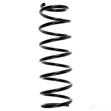 Пружина подвески GKN SPIDAN FFH 1RRX 4384 49528 4019064712787