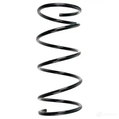 Пружина подвески GKN SPIDAN 55032 6647 7SH BBZ0 4019064715832