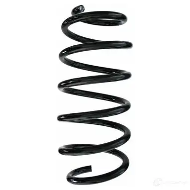 Пружина подвески GKN SPIDAN 3YI J9 1204175474 87526 4019064354932