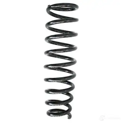Пружина подвески GKN SPIDAN 4019064329299 86647 10296 PM83 LL