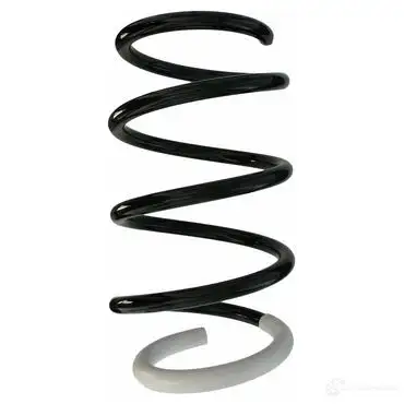 Пружина подвески GKN SPIDAN QT HA0 1204176208 87726 4019064358824