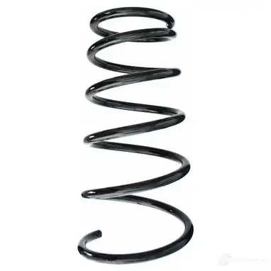 Пружина подвески GKN SPIDAN 87418 11061 4019064349693 6 BLMV8