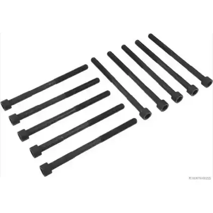 Болты ГБЦ, головки блока цилиндров MAGNETI MARELLI J12820 09 WTO4AWK 1193782015 600000027280