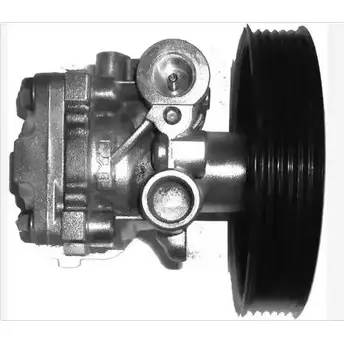 Гидроусилитель, насос гур DEPA P8 34 5GR6LK5 1194261557 PA834