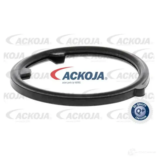 Термостат ож ACKOJA 1424883034 a38990005 4062375076192 57G18 3F изображение 1