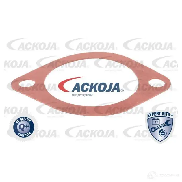 Термостат ож ACKOJA a52990003 1424883088 LZ8 PF2G 4062375075140 изображение 1
