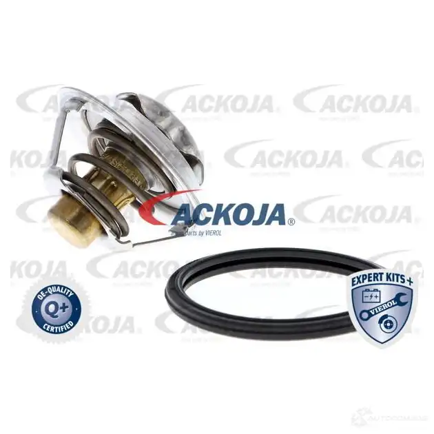 Термостат ож ACKOJA 1424883041 4062375075126 OCBPP V a38990015 - Изображение 1
